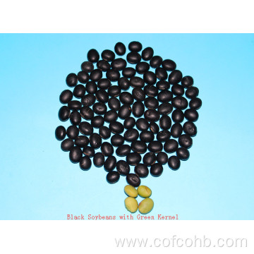 Dried black beans with green kernel